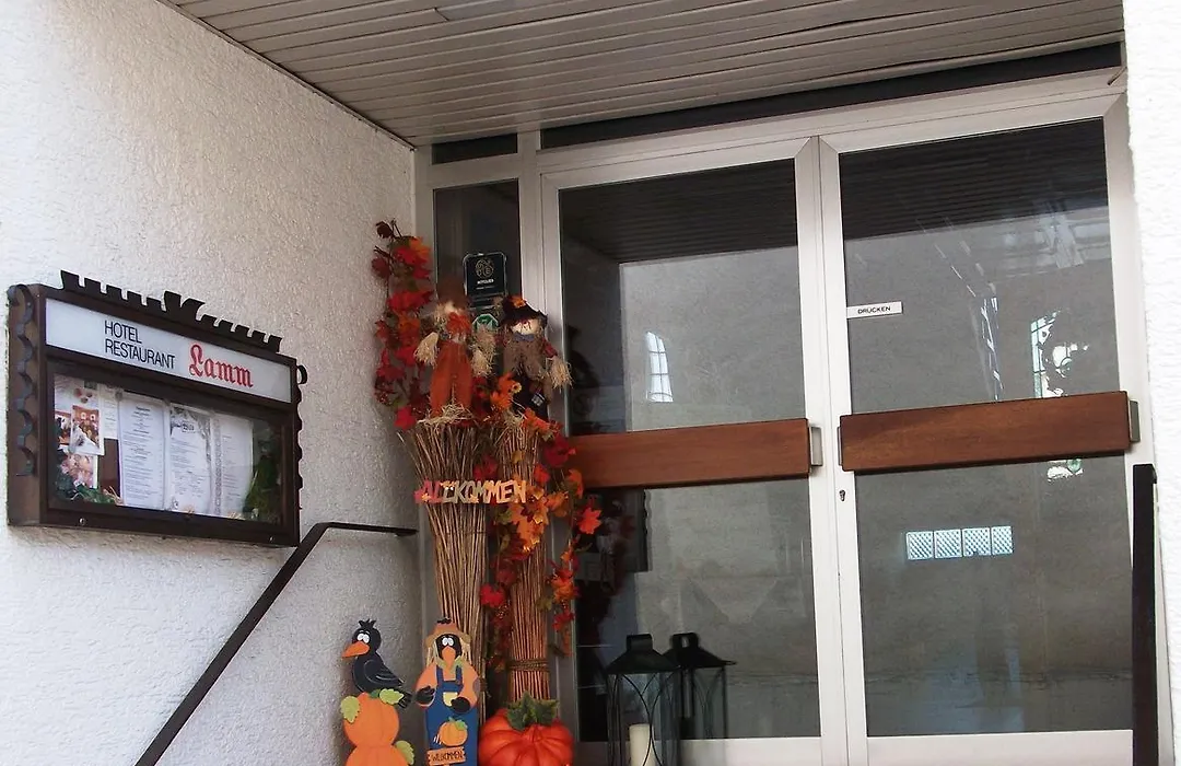 Hotel Lamm-1