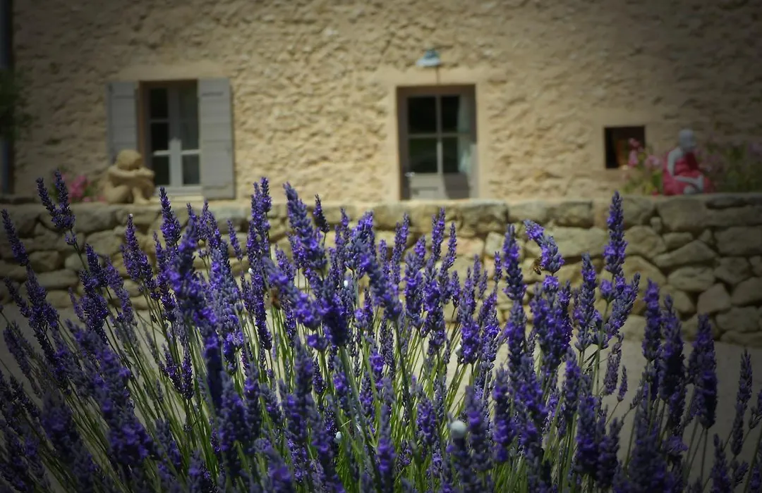 Chambre d'hôtes du Mas de Longuefeuille-1
