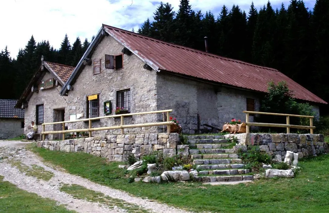 Alpine Smart Residence-1