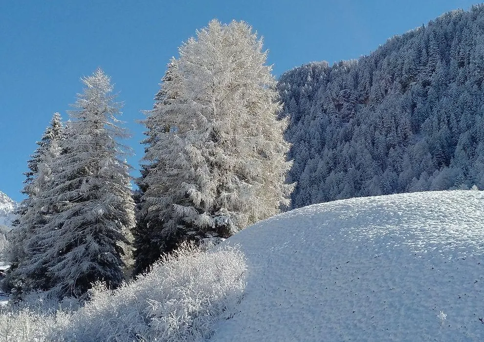 Garni Waltoy-1