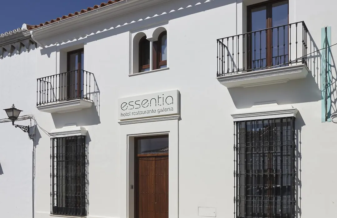 Hotel Galería Essentia-1