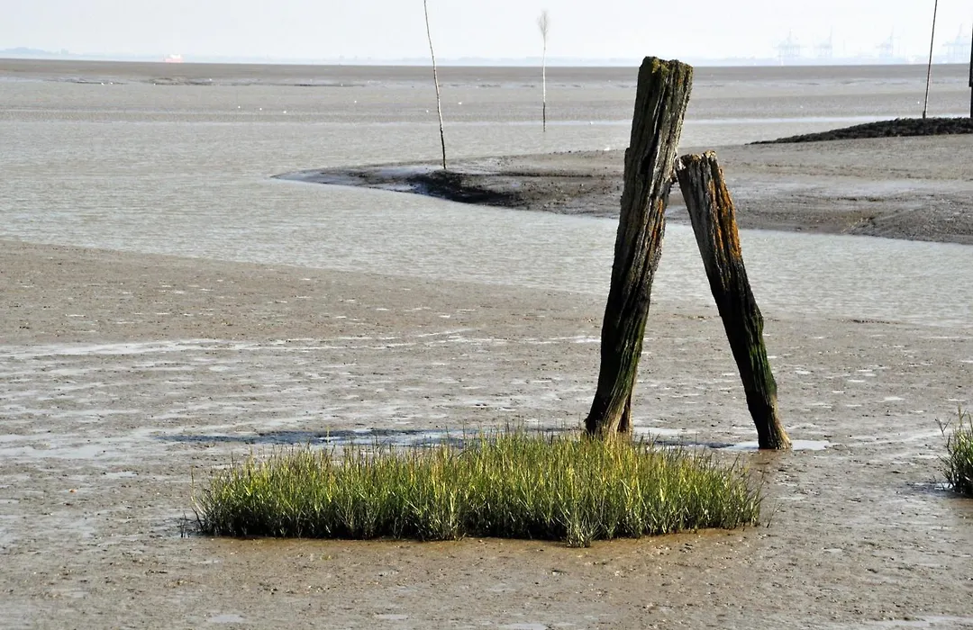Strand Hotel Nordsee, Hotel Deichlaeufer-1