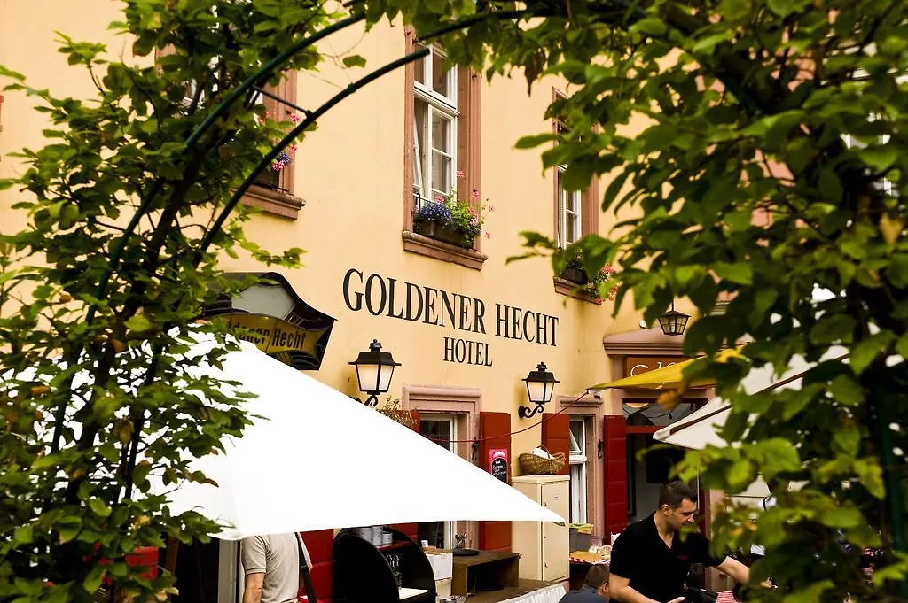 Hotel Goldener Hecht-1