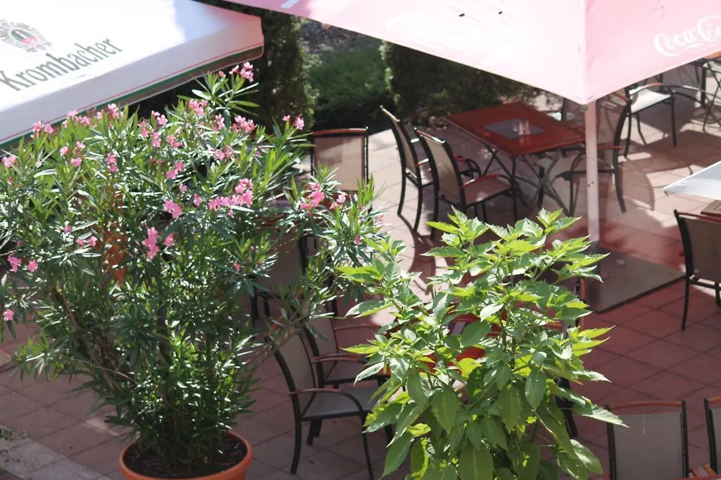 Parkhotel Altes Kaffeehaus-1