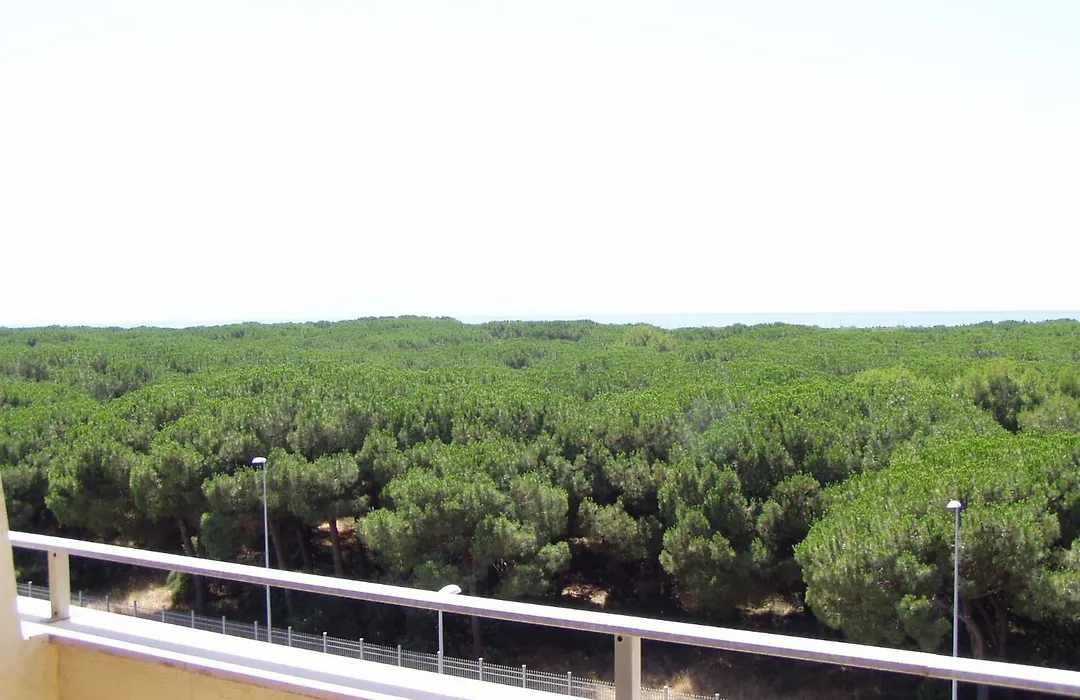 Hotel Le Dune-1