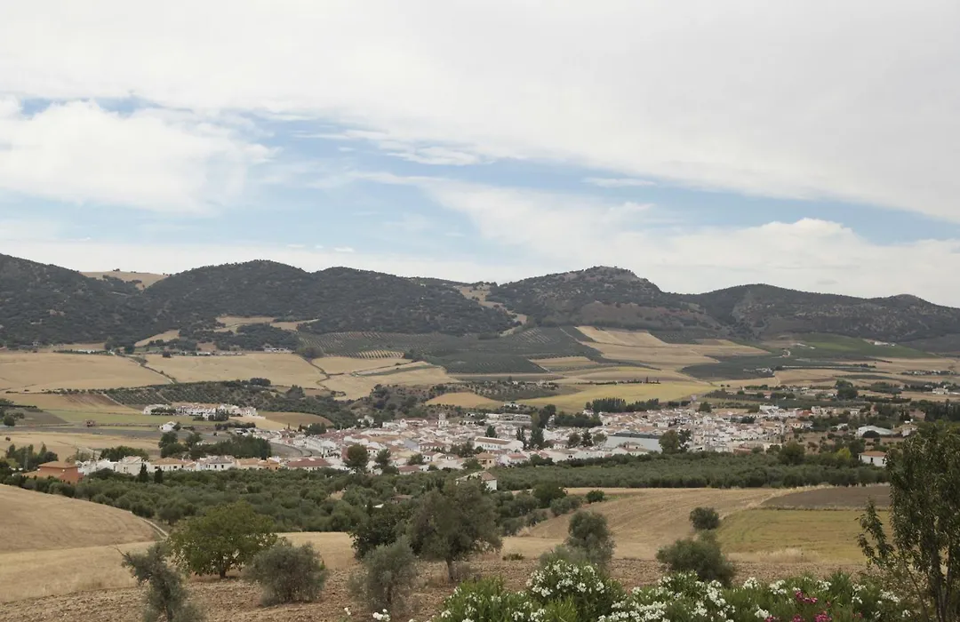 Arriadh Hotel-1