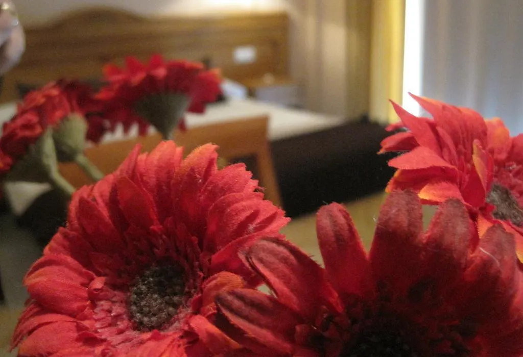 Hostal Arba-1
