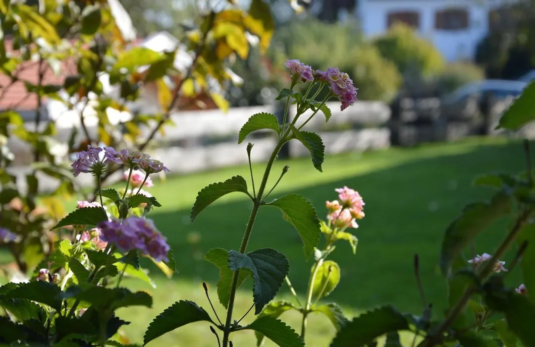 Pension Willibald-1