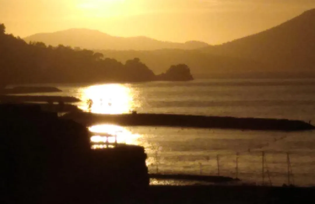 Le Saint Louis Plage-1