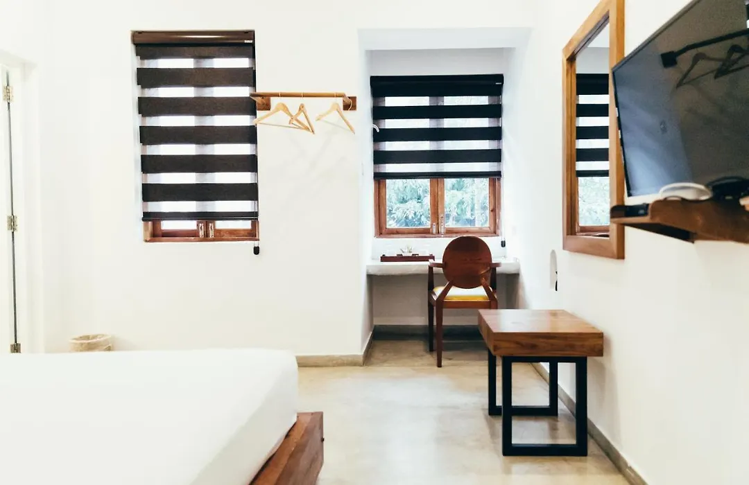 Moss Bnb Colombo-1