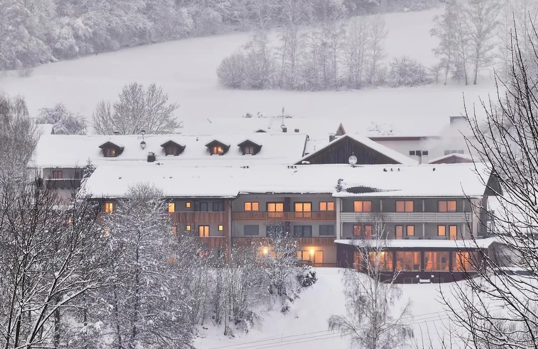 Hotel der Bäume-1