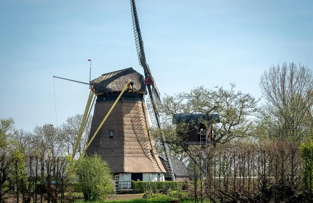 De Oosterling-1