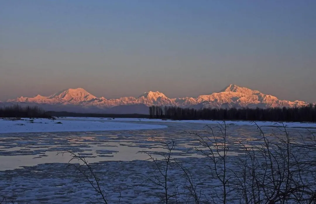 Talkeetna Fireweed Cabins-1