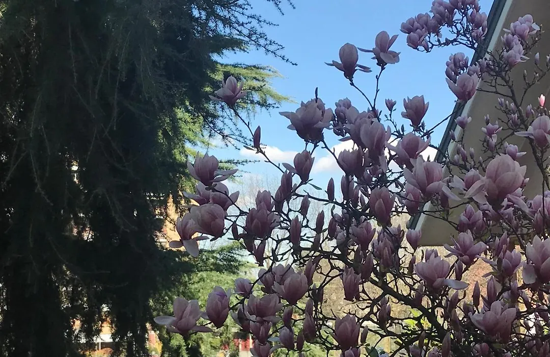 B&B Borgo dei Fiori-1