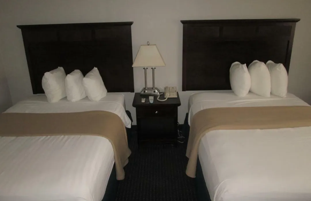 The Avenue Hotel-1
