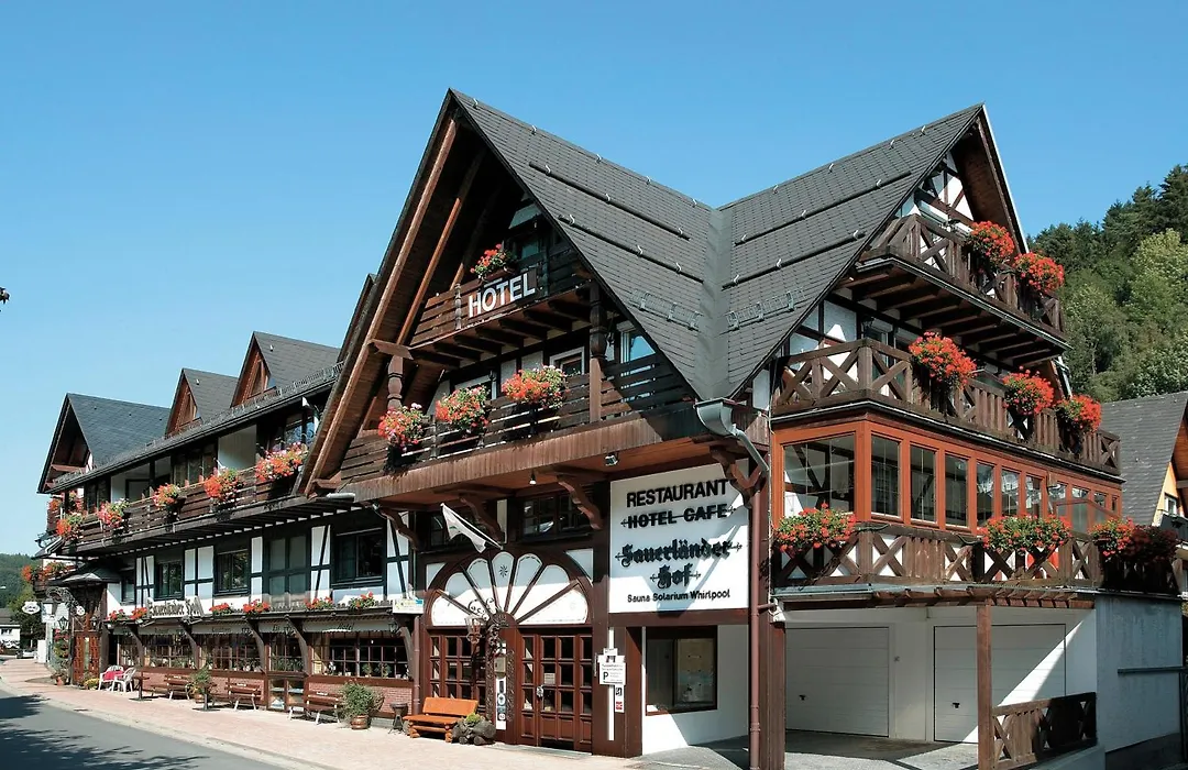 Hotel Sauerländer Hof-1