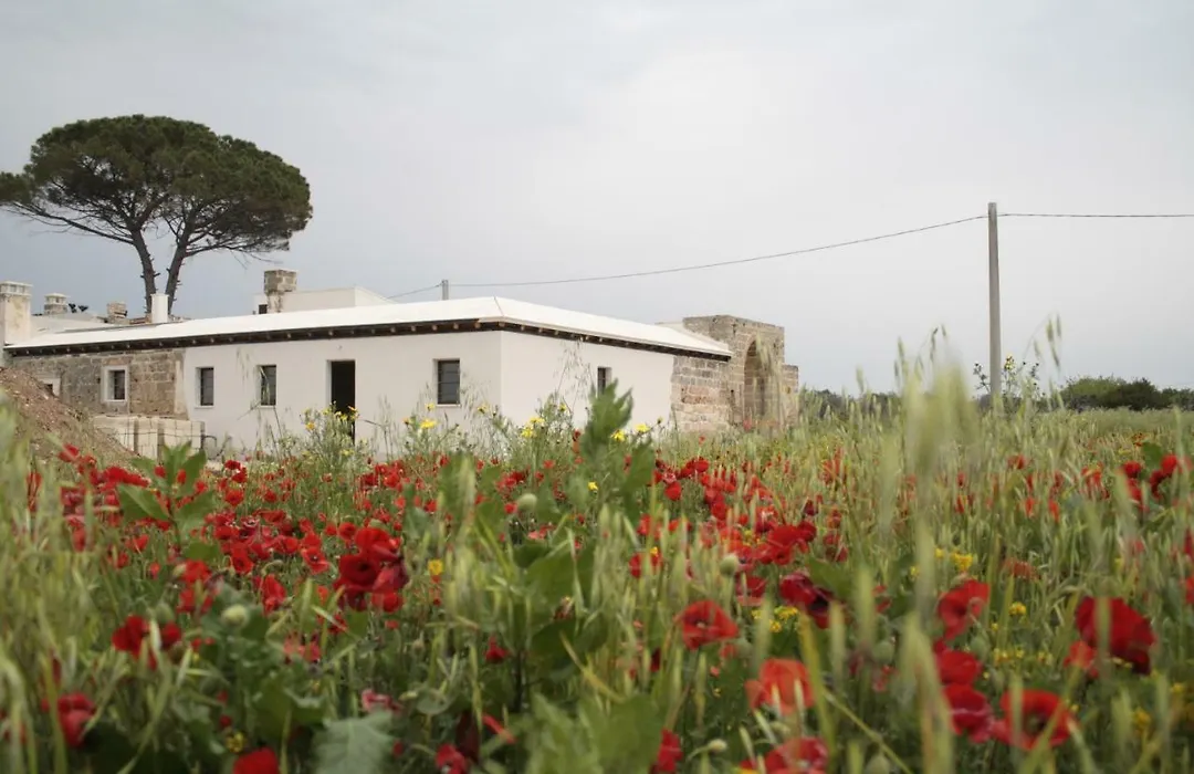 Casina Solatia-1