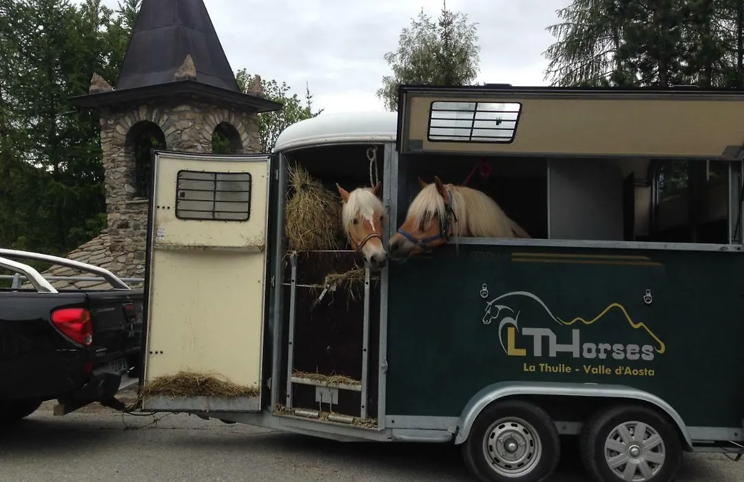 Lthorses & Dreams-1