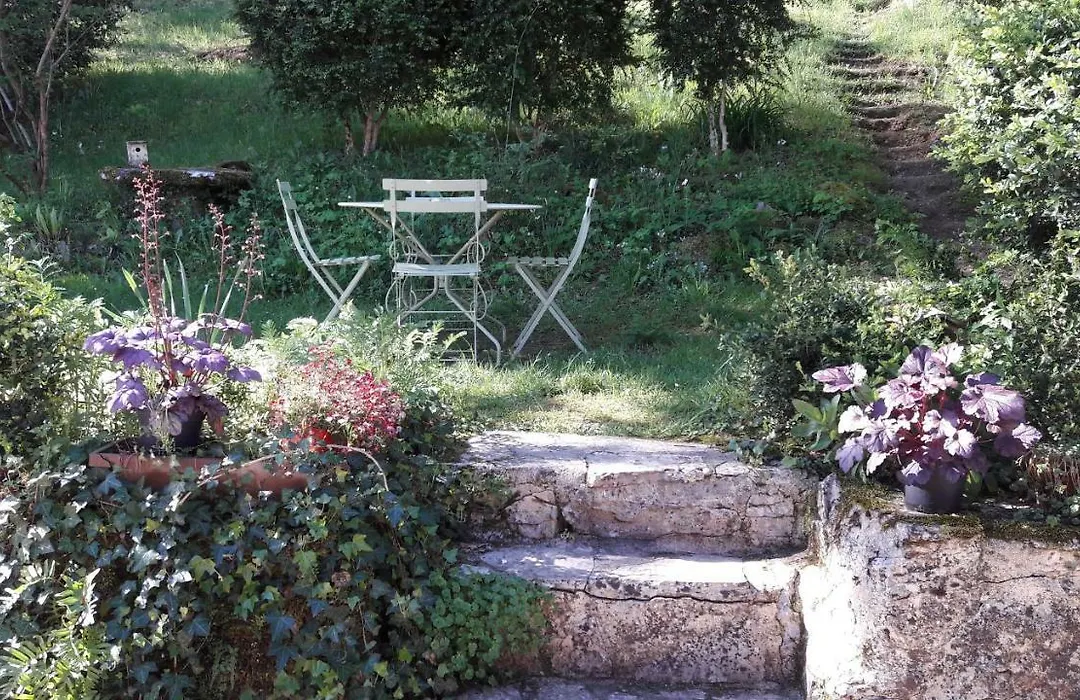 Charme et jardin cœur St Cirq - Appartements-1