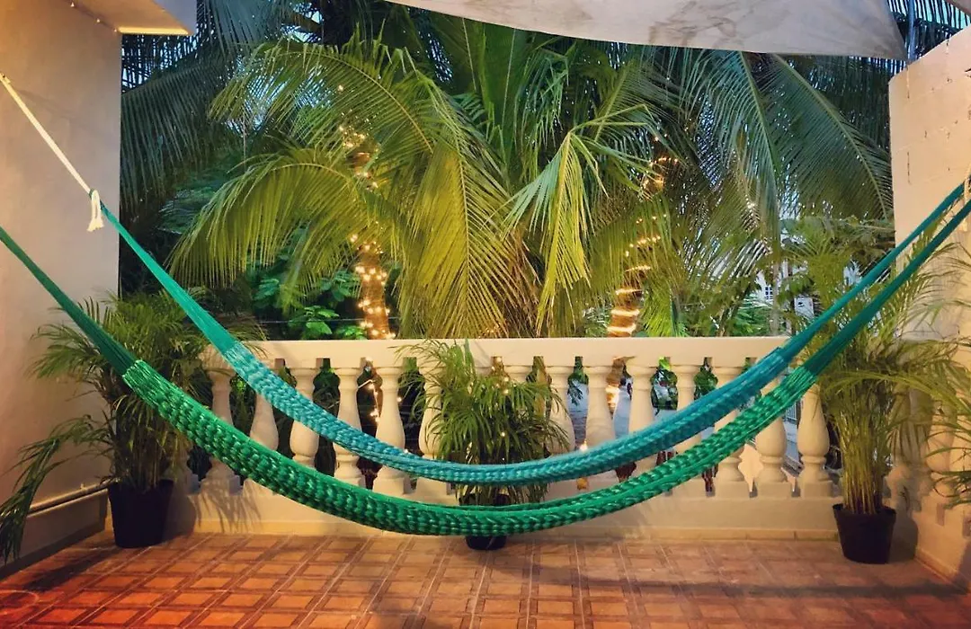 Casa Tropical-1