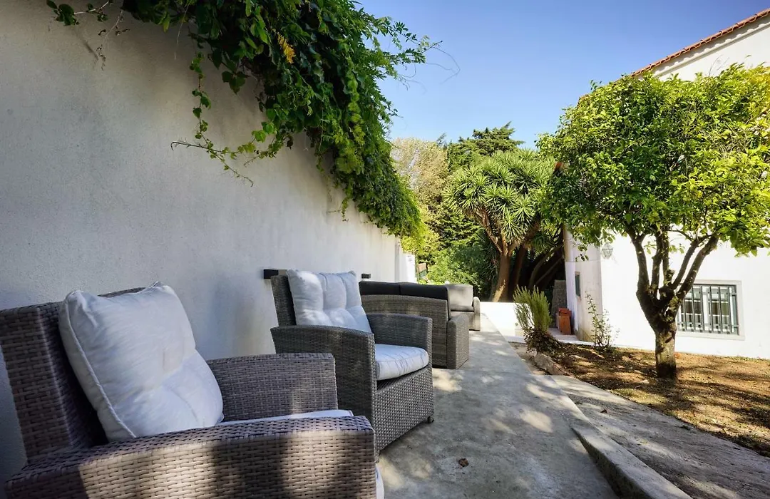 Comfy Sintra-1
