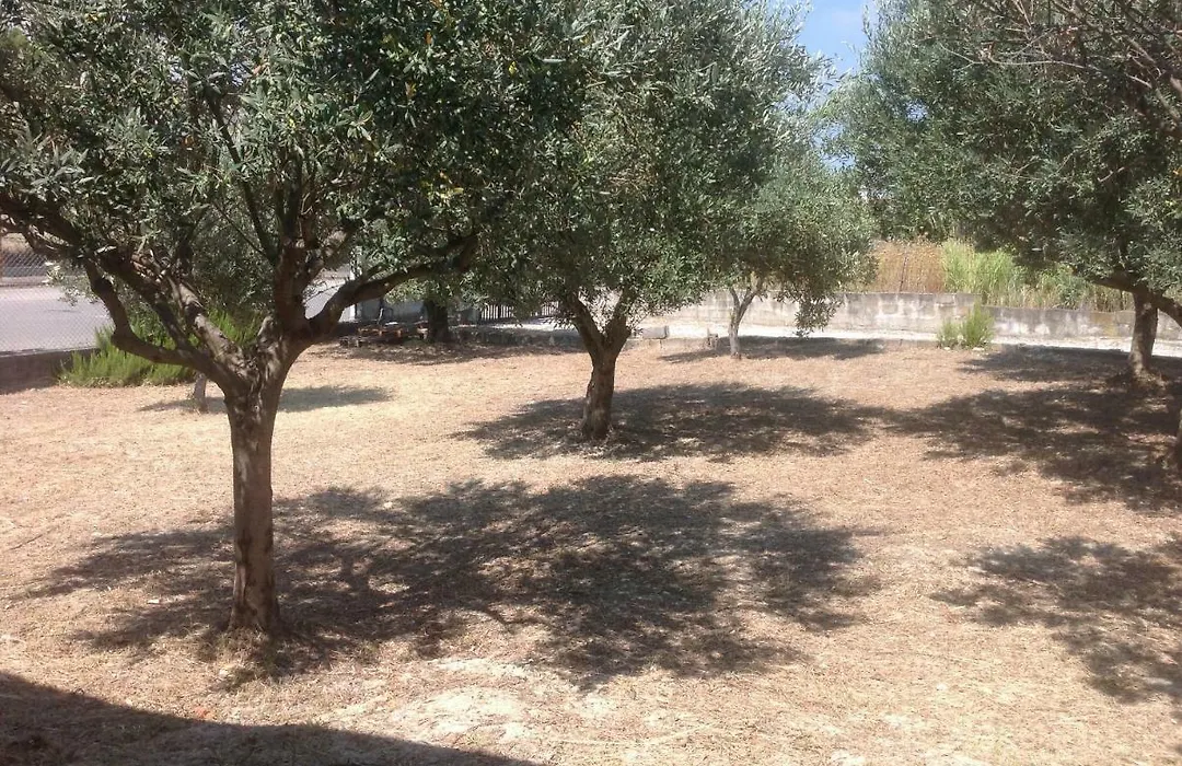 Il podere-1