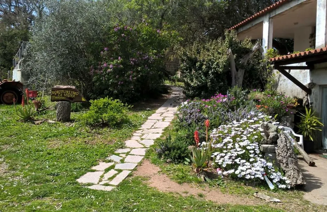 Agriturismo La Vigna-1
