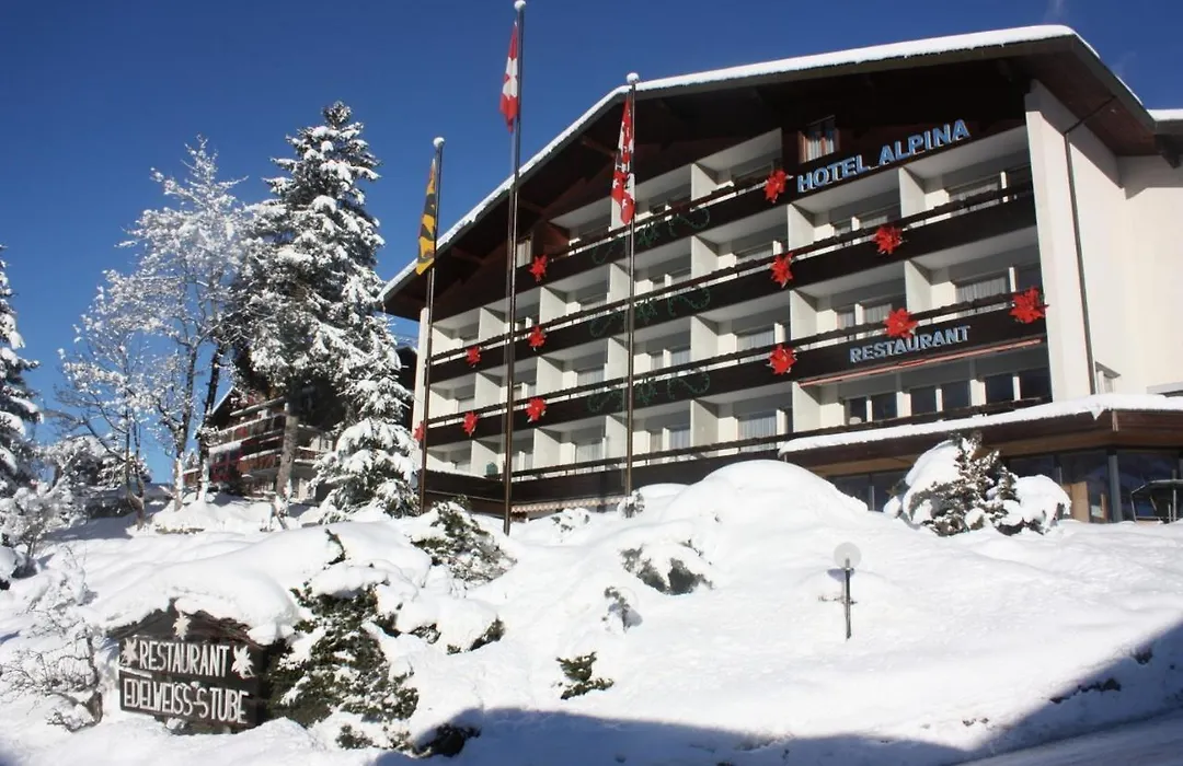 Hotel Restaurant Alpina-1