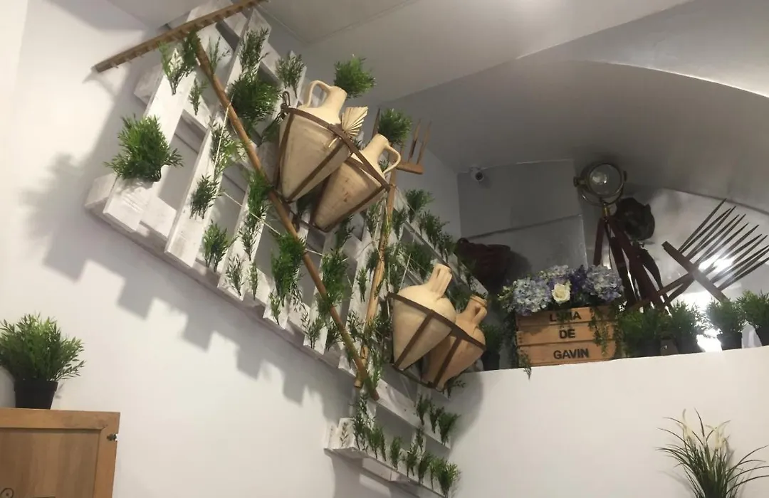 Hostal Boutique Luna de Gavín-1