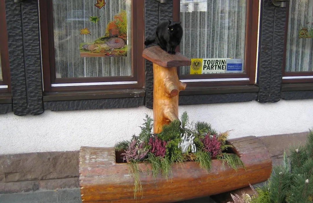 Hotel Rappen-1