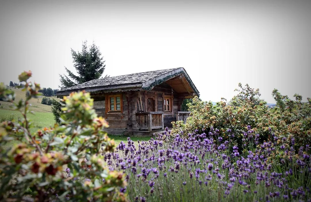 Hôtel Le Manoir des Montagnes-1
