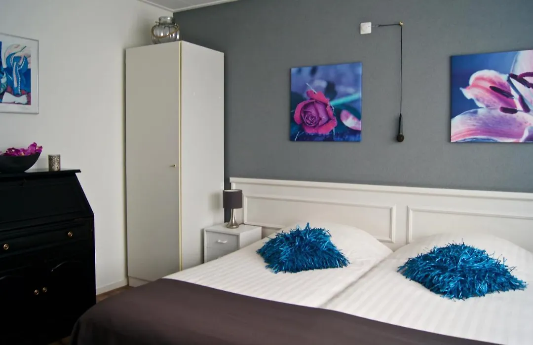 The Studio Guesthouse-1
