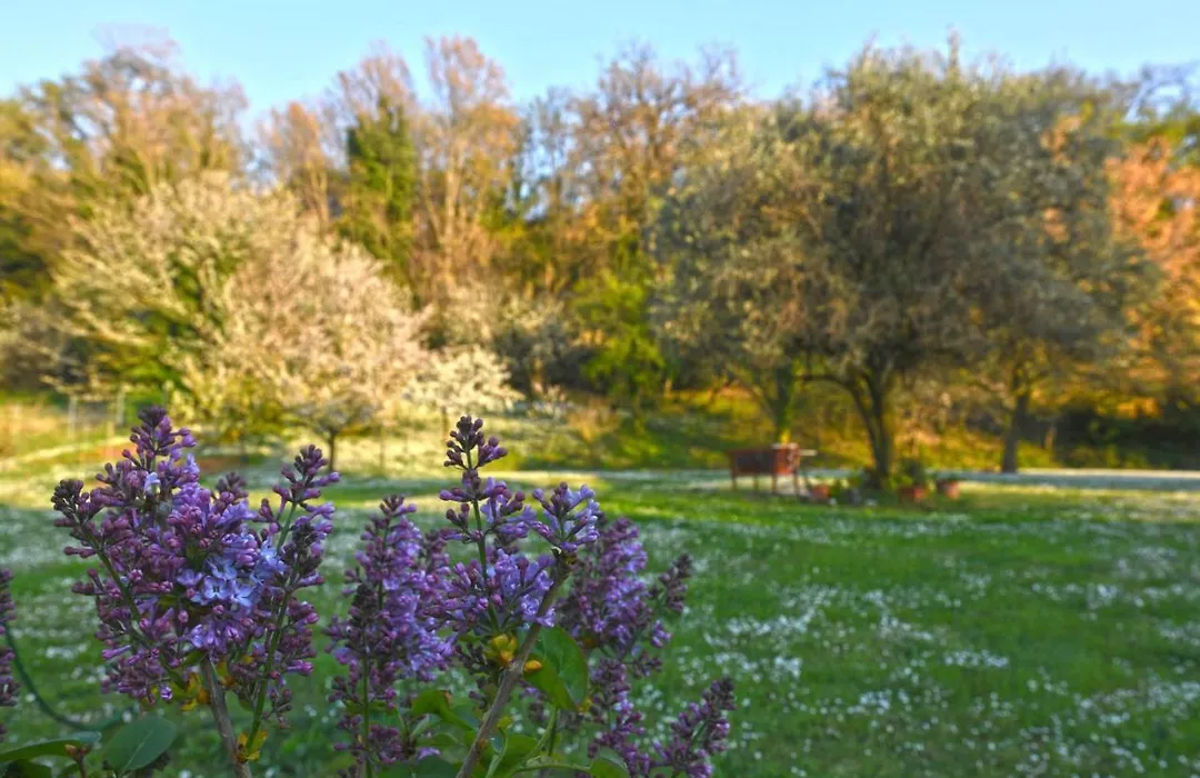 Armonia della Sera B&B - Residenza di campagna-1