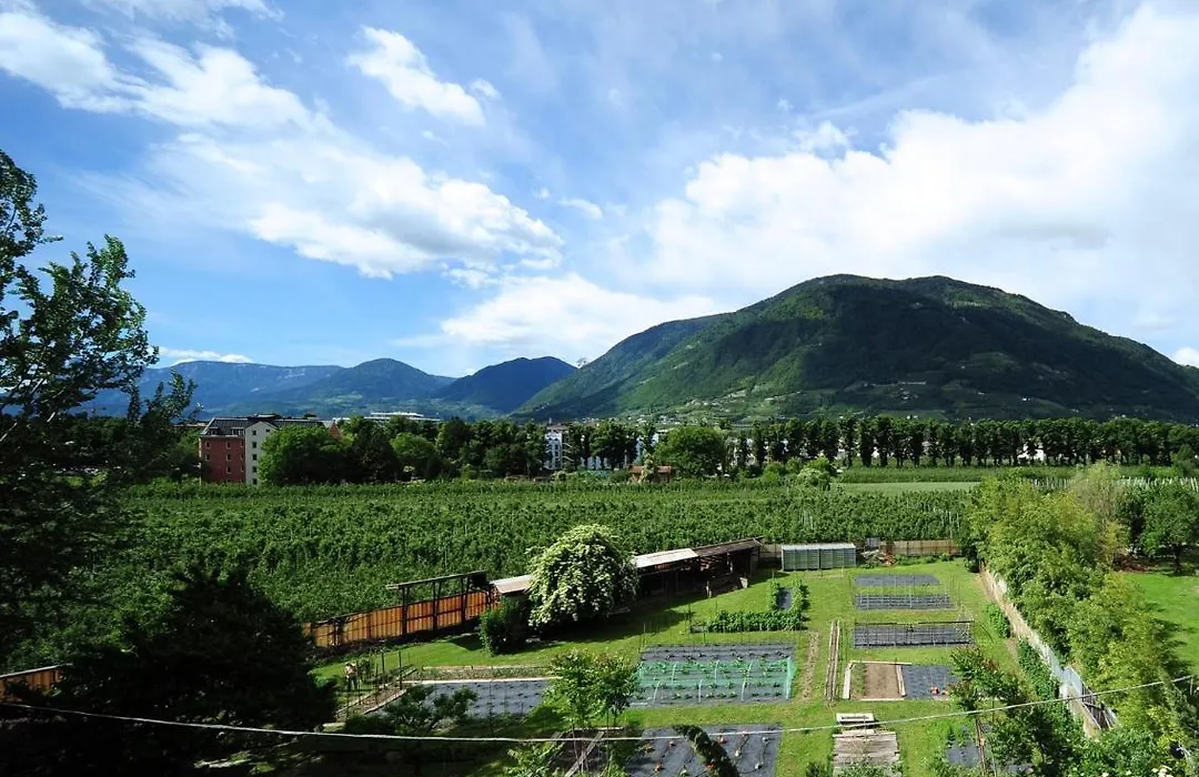 Villa Sasso-1
