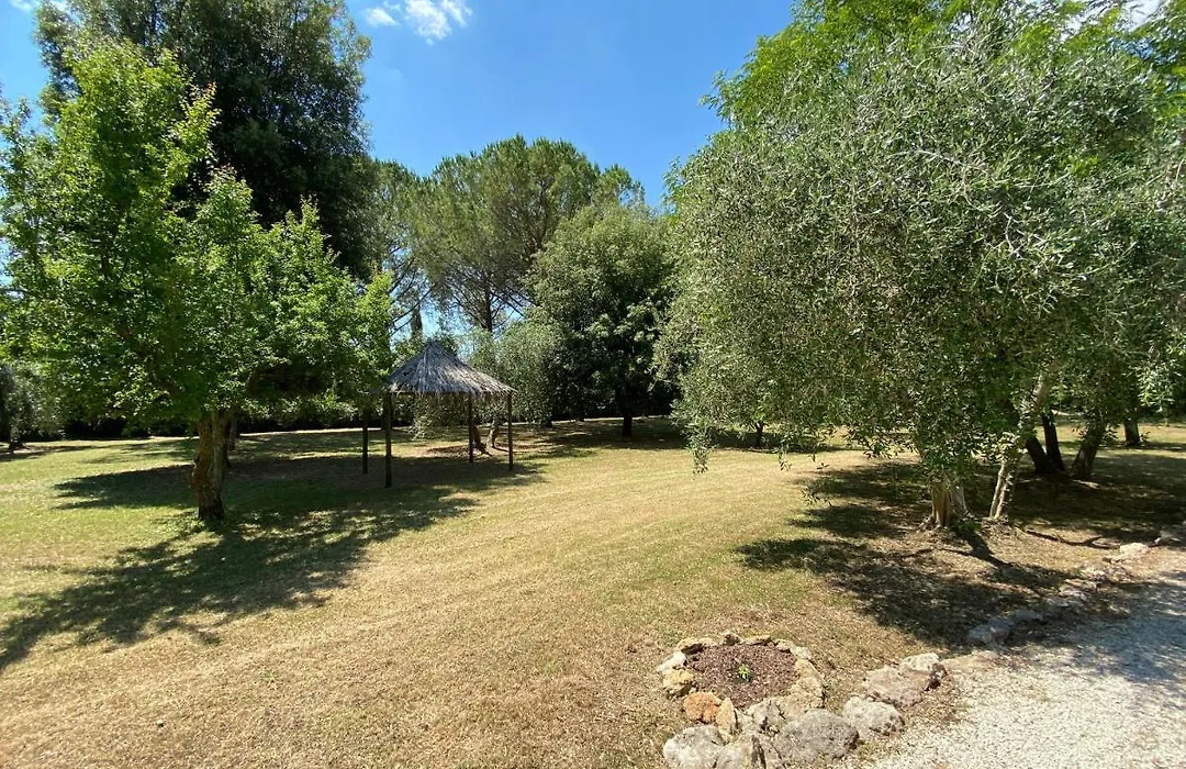 B&B 8380 - Pian Del Molino-1