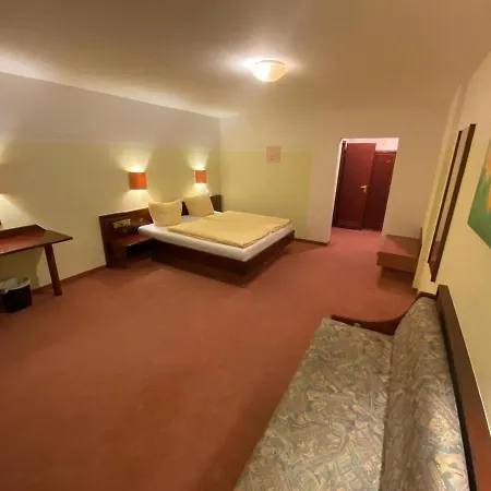 Hotel Goldener Löwe-2
