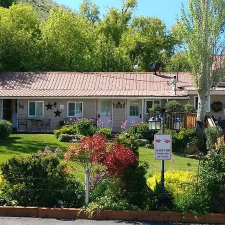Alpaca Inn, The-3
