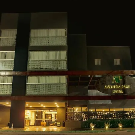 Avenida Park Hotel - Iturama-2