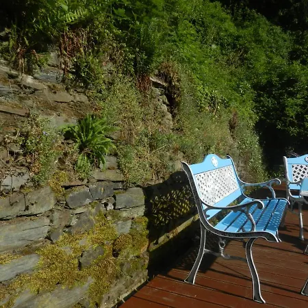 Boutique-Hotel Jungenwald-2