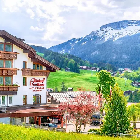 Hotel Almhof-3