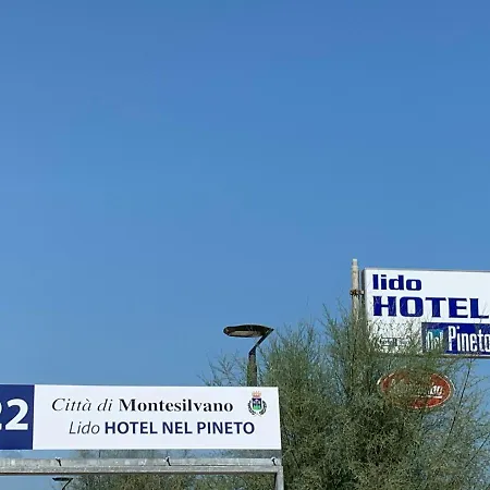 Hotel Nel Pineto-3