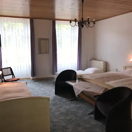 Rheinhotel Starkenburger Hof-3