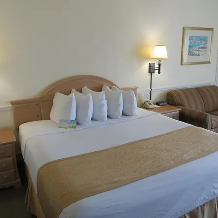 Days Inn By Wyndham Daytona Oceanfront-3
