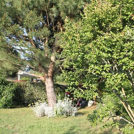 Chez Sophie-2