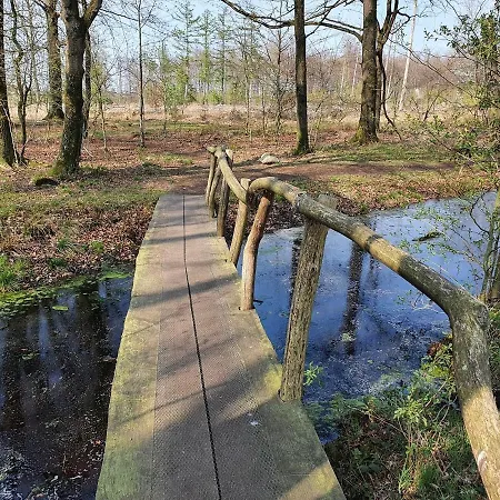 B&B Drenthe-3