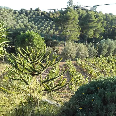 La Bastide de l'Oliveraie-2