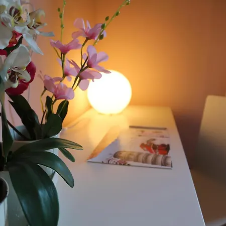 B&B Rosa-2