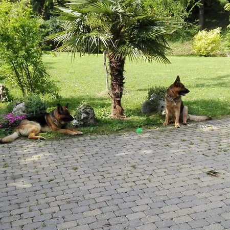 Casina Belvedere-3