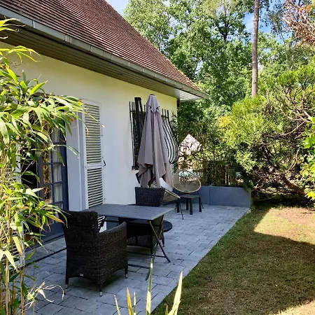 Villa d'hôtes Graine de Pin-3