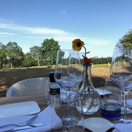 Villa BlauwHemel Diever-3